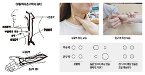 천기권생명과학상생석산지점 | '천기석' 건강에 좋은 신비한 돌, 45년만에 발견