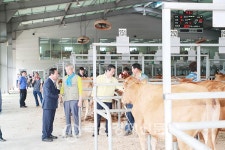 의령축협 토요애 한우직판장 | 의령축협, 한우 친자확인사업 자리매김