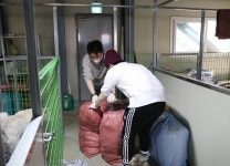 비엠정연 | 페스룸, 공승연 정연 자매와 함께 안성 평강공주 보호소에 5,000만원 상당 반려동물 용품 기부