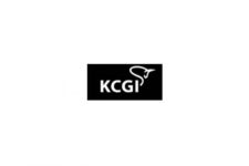 KCGI, ‘승계·특수상황’-‘글로벌 부문’ 신설
