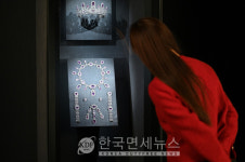 롯데월드타워 롯데뮤지엄 '디 아트 오브 주얼리' 전시 개최