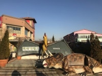 아산퍼스트빌리지TNGT | 아산 퍼스트빌리지, 3월 공룡체험관 오픈