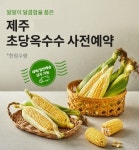 현대그린푸드국세공무원교육원(제주) | 현대그린푸드, 제주 초당옥수수 예약판매