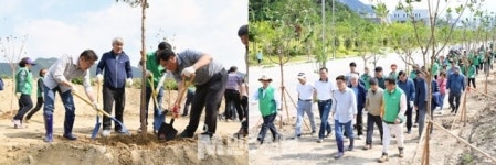 세영식품(주)부산대학교양산캠퍼스 행림관 | 양산시, '양산시민 건강숲' 수목 식재 마무리