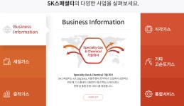 SK주식회사SK스페셜티SK머티리얼즈퍼포먼스SK머티리얼즈그룹포틴 | 리밸런싱 SK, 알짜 계열사 매각카드도 '만지작'