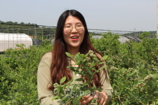 '수제 블루베리잼', '아로니아 즙·강정' 화성시 정의정 농가