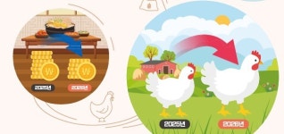 오대륙육계유통 | 7월 육계 생계유통가격 1900원 안팎 전망