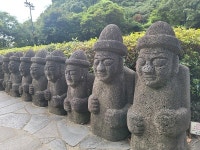 제주 저가 패키지 여행, 재미 솔솔