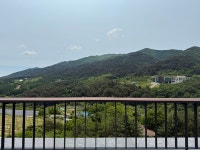 한국 내추럴 와인의 새로운 시도, 오르또 와인의 매력은?