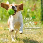 Naver search result photo 4