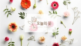 '오늘의 꽃' 새벽배송 '달빛배송'에 이어 낮 시간 배송 서비스 '햇빛배송' 런칭