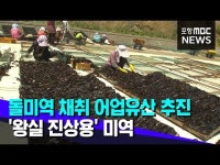 동해 미역문화 국가중요어업유산 지정 추진