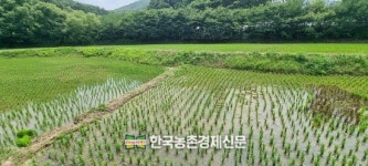 에스피해운항공(주) | 경농 "봄철 농작물 위협하는 진딧물, 지금이 방제 적기"