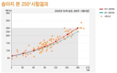 복된 송아지 정육점 | 송아지 6개월령 250kg 시대...우시장 고가격 형성