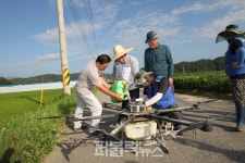 진천농약할인마트 | 【생거진천 소식】진천군, 벼 생육 중기 병해충 약제 및 공동 방제비 지원 '앞장' 外
