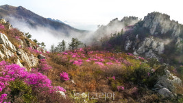 Foto aus Naver-Suchergebnissen 1