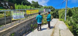 울릉산림직거래사업단 | 울릉군, 산림 내 불법행위 특별 점검
