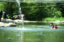 Naver search result photo 1