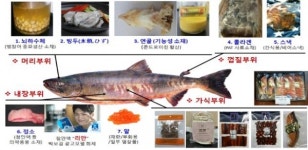 무상 지원되는 수산 부산물로 300억 원대 수익 창출 가능?