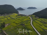 보배의섬힐링촌대건농원 | 진도군, '보배섬 유채꽃 축제' 봄의 향기 가득한 힐링의 시작