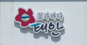 합자회사만리포수상레저 - 태안군 모항항길 2 | 태안군, 만리포니아 해양레저 관광시설 3월 착공
