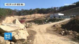 김천시니어클럽전통사찰관리지원 | 김천시 한 개인사찰... 수 천그루 소나무 불법 산림훼손 논란