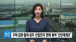 파스퇴르칠곡성주 | 구미·김천·칠곡·성주 산업단지 한데 묶어 '산단대개조'