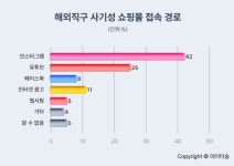 해외직구 사기 쇼핑몰 접속 경로, 인스타그램이 42% 차지