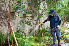 늘솜수목센터 | 한국수목원정원관리원, 산림청과 정원산업 선도