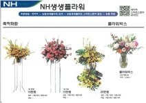 꽃강아지
