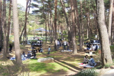 내포산림엔지니어링 | 【내포】충남도, 치유의숲·산림레포츠 단지 등 확충에 240억 투입