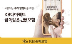 내새끼의식주듀펫 | KB손보, 댕댕이 위한 '금쪽같은 펫보험' 출시