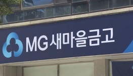 새마을공동소득장 | 새마을금고 공동대출과 대체투자 중심으로 관리 대폭 강화된다