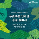 푸릇푸릇 신비 숲 용을 찾아서 국립수목원 산림박물관 기획전시 개최