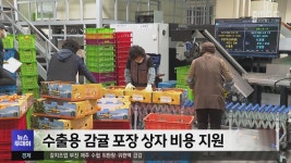 수출용 감귤 포장 상자 비용 지원
