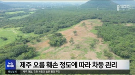 제주 오름 훼손 정도에 따라 차등 관리