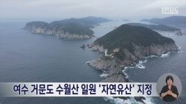 Naver search result photo 4