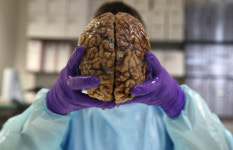 This Is Your Brain on Politics