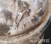 씨앤보코지점주 | 플라스틱 스무디 마시고 유산… 카페코지 "해당 매장 점주에 법적 대응"