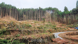 주식회사 조광임업 | 르포 | 조림에서 벌목, 가공, 유통, 건축까지…일본의 임업과 목재산업