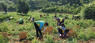 국군복지단대전지원본부공사지구대교수부마트 | 농협대전지역본부, 2020년 취약농가 인력지원 사업 연중 운영