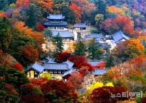 계룡산작은쉼터