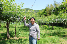 박원로(울산원예농협 이사) - 초생재배·분리방제로 병해충 대비