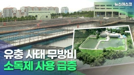 유충 사태 무방비..소독제 사용량 급증