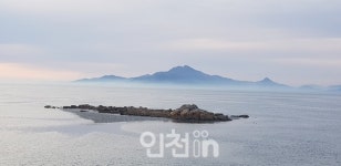 영종 수하암의 저어새 - '수돌이'와 'Y21'의 탄생과 비행