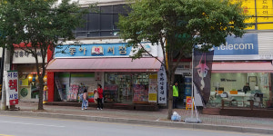 물길 위로 흐르는 일상의 평온, 나진포천 따라