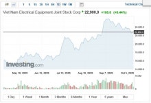 베트남전장(Gelex), 비글라세라 지분 21.1% 인수완료…46.07%로 늘려