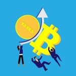 청원자산관리주 | "코인 과세에도 결손금 이월공제 적용해달라" 국민청원 등장
