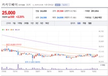 위메프_카카오페이문화비 | 카카오페이, 3분기 영업손실 확대...티몬, 위메프 관련 손실 영향