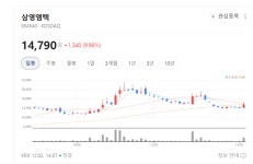 교량·선박·풍력 기자재 기술력 강화...삼영엠텍 사업 통합 본격화